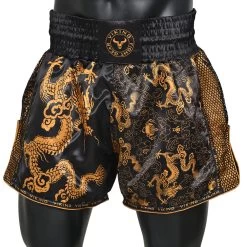 Viking Ryu Muay Thai Shorts - MMA Factory 35 Viking Ryu Muay Thai Shorts - MMA Factory -Boxing Equipment Store Ryu Bronze Black 1 1000