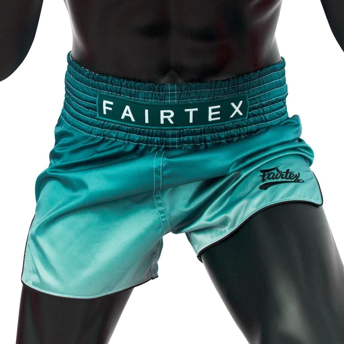 Fairtex Muay Thai Shorts-BS1906 - MMA Factory 5 Fairtex Muay Thai Shorts-BS1906 - MMA Factory - Image 3