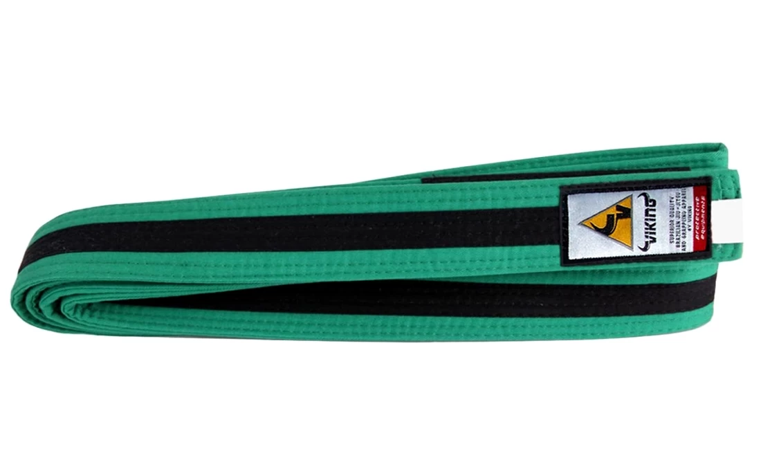 Viking Kids Ranked BJJ Belts - MMA Factory 6 Viking Kids Ranked BJJ Belts - MMA Factory - Image 4