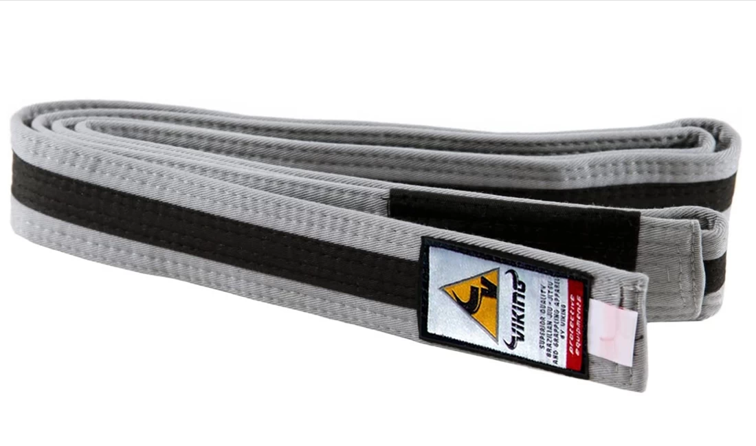 Viking Kids Ranked BJJ Belts - MMA Factory 9 Viking Kids Ranked BJJ Belts - MMA Factory - Image 7