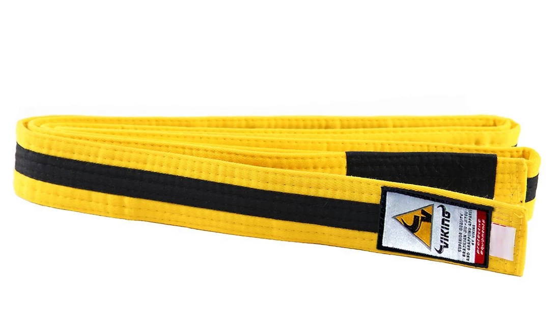 Viking Kids Ranked BJJ Belts - MMA Factory 15 Viking Kids Ranked BJJ Belts - MMA Factory - Image 13